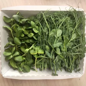 Набор микрозелени «Сладкий»